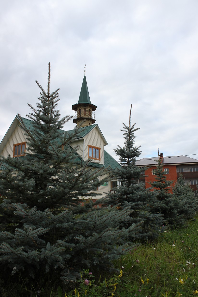 Resize_of_IMG_6315.JPG